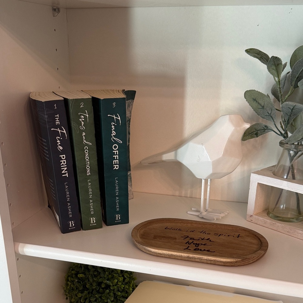 Terms and Conditions Series
Lauren Asher 
All three books included